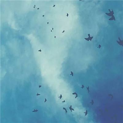 365平台下载app下载